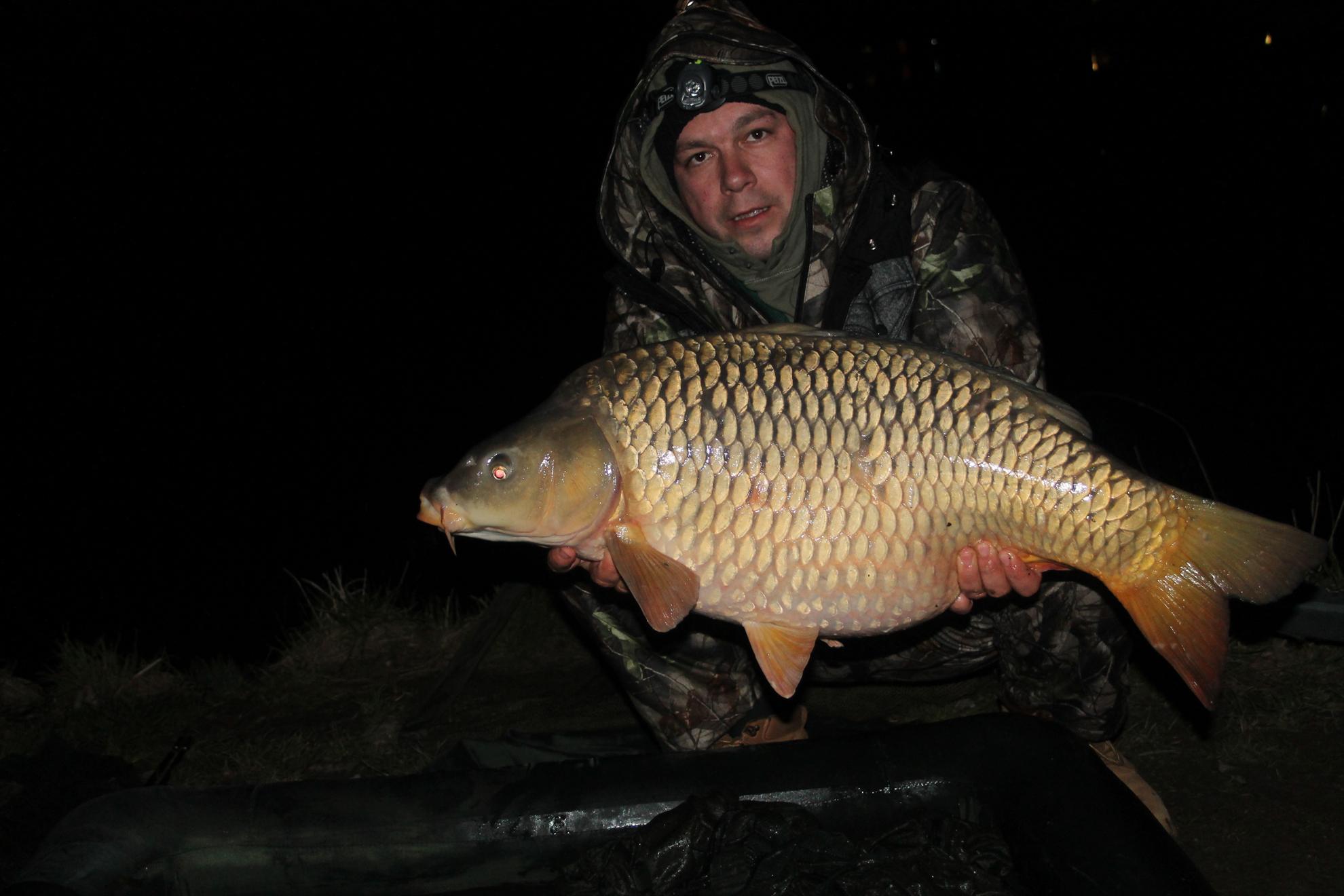 Harsany aprilie2013 - harsany-aprilie2013-071.JPG